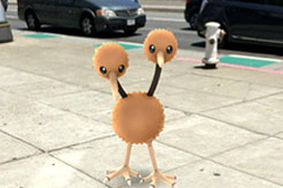 米国フロリダで『ポケモンGO』ユーザーが発砲事件の被害に 画像