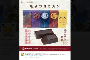 『ポケモン』ハクタイ地方の名物「もりのヨウカン」が商品化！その他「アローラロコンポンチョのピカチュウ」グッズなども登場 画像