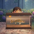 どうして『あつまれ どうぶつの森』の「スズキ」は嫌われるの？ かわいそうな魚のかわいそうな理由を解説