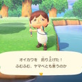 雑魚のくせして超キレイ！『あつまれ どうぶつの森』で釣れるオイカワってどんな魚？【平坂寛の『あつ森』博物誌】