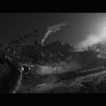 『Ghost of Tsushima』白でもなく黒でもない世界で、サムライは斬る─フォトジェニックな黒澤モードを研究する