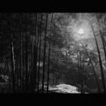 『Ghost of Tsushima』白でもなく黒でもない世界で、サムライは斬る─フォトジェニックな黒澤モードを研究する