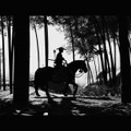 『Ghost of Tsushima』白でもなく黒でもない世界で、サムライは斬る─フォトジェニックな黒澤モードを研究する