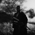 『Ghost of Tsushima』白でもなく黒でもない世界で、サムライは斬る─フォトジェニックな黒澤モードを研究する