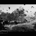 『Ghost of Tsushima』白でもなく黒でもない世界で、サムライは斬る─フォトジェニックな黒澤モードを研究する