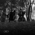 『Ghost of Tsushima』白でもなく黒でもない世界で、サムライは斬る─フォトジェニックな黒澤モードを研究する