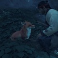 『Ghost of Tsushima』に登場するキツネが可愛いと話題に―「たまもちゃん」のユウキレイ先生もお稲荷さんに注目した