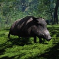 あなたは何種見つけた？―あつまれ 対馬の森『Ghost of Tsushima』の生き物図鑑