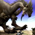 6日連続！MH3がますますわかる「まだ間に合う！モンスターハンター3」、第6回「モンスターの知られざる生態2」