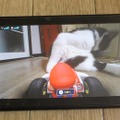 『マリオカート ライブ ホームサーキット』で飼い猫を眺めてみた！ 低視点がこれまでにない新鮮さを生み、猫はいつも通り気まぐれ・・・