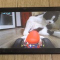 『マリオカート ライブ ホームサーキット』で飼い猫を眺めてみた！ 低視点がこれまでにない新鮮さを生み、猫はいつも通り気まぐれ・・・