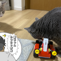 【吉田輝和の絵日記】猫ちゃんの様子も見守れる！現実とゲームが融合した『マリオカート ライブ ホームサーキット』