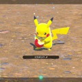 該当店舗で『New ポケモンスナップ』を予約した人は要注意！「緊急事態宣言」で一部のポケモンセンター・ポケモンストアが4月25日より臨時休業