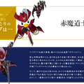 からあげクンの「#FF14ジョブ診断」が可愛いと話題に！コラボメニュー「光と闇のクリスタル味」も気になる…