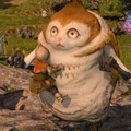 『FF14』パイッサに“トトロ乗り”するララフェル！公式インスタに新マウントを示唆する投稿