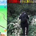 過酷な山奥に放置されたポケモンは、半年間ジム防衛できるのか？片道2時間登山して、検証してみた【ポケモンGO 秋田局】