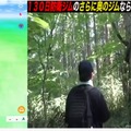 過酷な山奥に放置されたポケモンは、半年間ジム防衛できるのか？片道2時間登山して、検証してみた【ポケモンGO 秋田局】