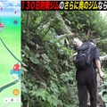 過酷な山奥に放置されたポケモンは、半年間ジム防衛できるのか？片道2時間登山して、検証してみた【ポケモンGO 秋田局】