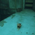 猫ゲー『Stray』は、どこまで「猫の魅力」に溢れているのか？ 猫飼いも納得の豊富なアクション＆猫あるあるを見よ！