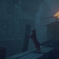 猫ゲー『Stray』は、どこまで「猫の魅力」に溢れているのか？ 猫飼いも納得の豊富なアクション＆猫あるあるを見よ！