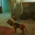 猫ゲー『Stray』は、どこまで「猫の魅力」に溢れているのか？ 猫飼いも納得の豊富なアクション＆猫あるあるを見よ！