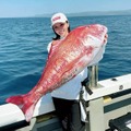 釣った魚がリアルなクッションに！魚拓のような「ぎょたクッション」が本物そっくりでヤバい