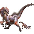 『モンスターハンター3(トライ)』ネットワークモードで上位クエストにチャレンジ！(後編)