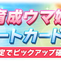 『ウマ娘』新たに「ワンダーアキュート」実装決定！コパノリッキー、ホッコータルマエらと競い合った“ダートウマ娘”