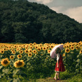 幽香『東方Project』／翠葉木（Twitter：@310re45）、撮影：uhimaru（Twitter：@uhimaru999）／Leica S2(Typ006) + HASSELBLAD F PLANAR 80mm/2.8