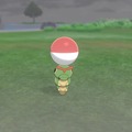 『ポケットモンスター ソード・シールド』ゲーム内より