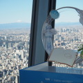 平日でも多くの旅人が集結！『原神』×東京スカイツリーコラボ「青空の大冒険～雷霊に導かれて～」現地の様子をお届け
