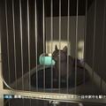 居場所を奪われたネコがオーストラリアの街をさまよう愛と孤独のADV『Copycat』Steamでデモ版を配信