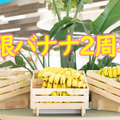 これまでに消費したバナナの数は約73,000本！？コロプラ独自の福利厚生制度「無限バナナ」が2周年を迎える