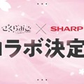 ホロライブ・さくらみこ、シャープとのコラボ加湿器が2月21日発売！100ワード以上のボイスが収録…もちろん水は入れなきゃ加湿できない