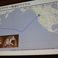 【CEDEC 2010】スクエニ→DeNA、日本→世界・・・「イグアナ海を渡る」