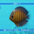 ブルーオアシス～魚の癒し空間～