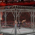 WWE SmackDown vs. Raw 2011