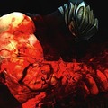 業を背負うハヤブサ…！『Ninja Gaiden 3』TGSトレイラー＆最新ショット