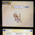 仲間になったポケモンは詳細をチェック