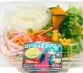 ミクの野菜サラダ（ミクバジルドレッシング）：250円