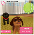 子犬と一緒に暮らすソーシャルペットゲーム『どこでもペット かわいい子犬』 