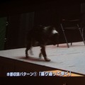 モーションキャプチャー犬