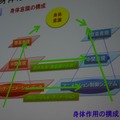 身体意識の構成と身体作用の構成