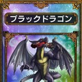 ブラックドラゴン