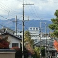 東福寺からは任天堂も見えます