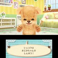 3DS『クマ・トモ』クマと友情を深めるゲーム ― プレイヤーのことを覚えて会話が広がる