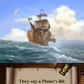 Pirates: Duels on the High Seas