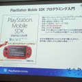 【SIG-Indie第10回勉強会】PlayStation Mobileでゲームを販売するための傾向