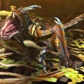 『MH4』に登場するモンスターを232枚の画像でチェック！その中から担当ライター(女）が選ぶ注目モンスターベスト5とは