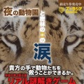 「夜の動物園と密林の王の涙 at よこはま動物園ズーラシア」